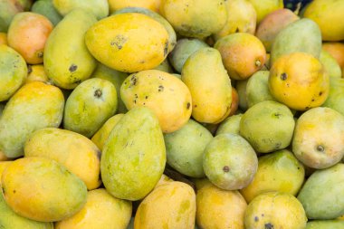 Lezzetli tropikal meyve Mango - Mangifera indica