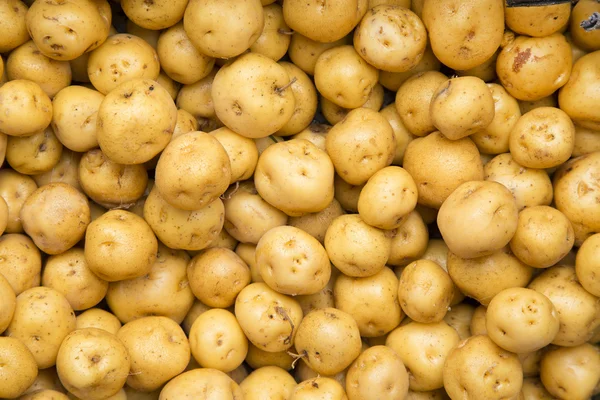 Yellow potato - Solanum phureja