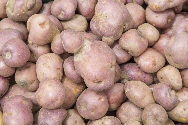 Pila de patata - Solanum tuberosum — Foto de Stock