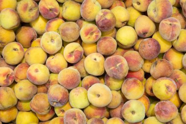 Antioksidan gücü - Prunus persica ile şeftali meyve