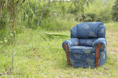 Eski orman kanepe terk