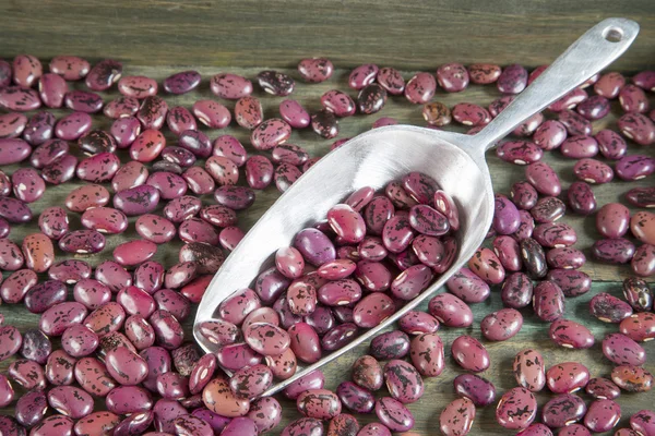 6-Pinto beans in metal spoon