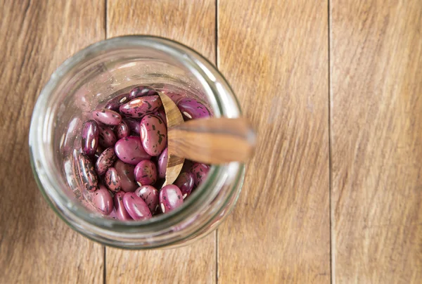 Pinto beans in the bowl - (Phaseolus vulgaris)