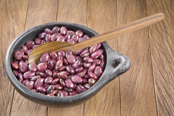 Pinto beans in the bowl - (Phaseolus vulgaris)