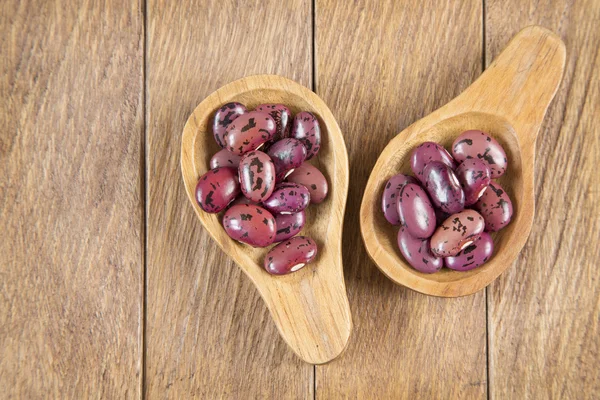 Pinto beans on wooden spoon (Phaseolus vulgaris)