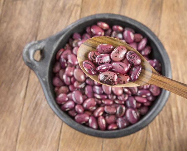 Pinto beans on wooden spoon (Phaseolus vulgaris)