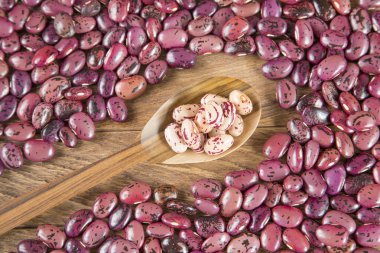 Pinto fasulye çeşitli - (Phaseolus vulgaris)