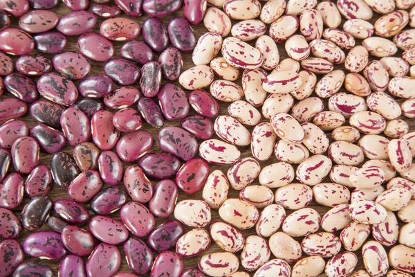 Varietà di fagioli gialli (Phaseolus vulgaris ) — Foto Stock