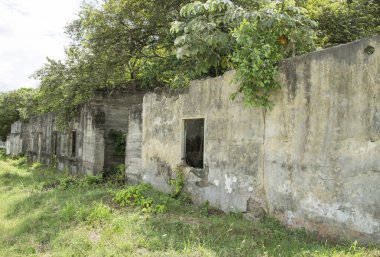 Armero, Kolombiya - 08 Kasım 2016. Armero trajedi kalıntıları. Bu yanardağ Nevado del Ruiz patlama Çarşamba, 13 Kasım 1985 tarihinde kaynaklanan doğal bir felaket oldu