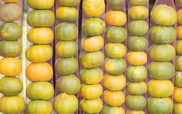 Deliziosi mandarini (Citrus reticulata ) Foto Stock