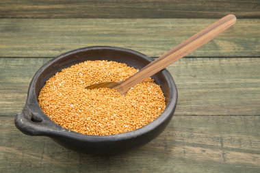 Darı hububat (Panicum miliaceum)