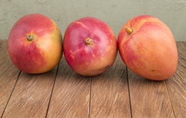 Mango tropik meyve (Mangifera indica)