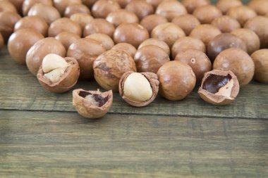 Macadamia fıstığı (Macadamia integrifolia)