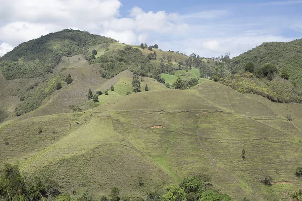 Kolombiyalı Dağı'nın güzel manzara