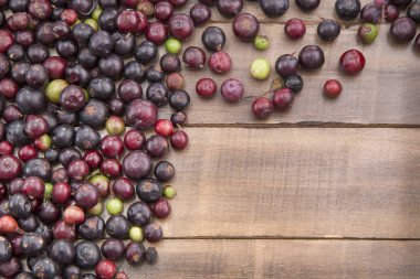 Agrz tropikal meyve (Vaccinium meridionale)