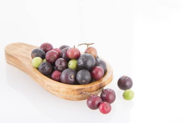 Agraz tropikal meyve (Vaccinium meridionale)