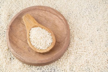 beyaz susam (Sesamum indicum)