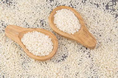 beyaz susam (Sesamum indicum)