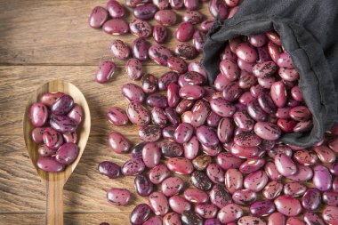 Pinto fasulye (Phaseolus vulgaris)