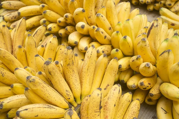 Miniature banana delicious fruit (Musa  paradisiaca) — Stock Photo, Image