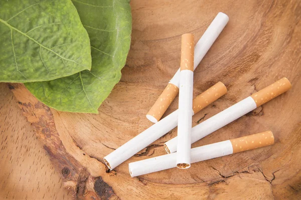 Tobacco leaves and cigarettes (Nicotiana tabacum)