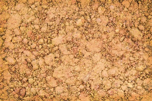 Gele aarde texture detail — Stockfoto