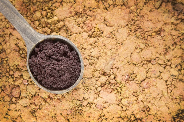 巴西莓粉对木勺 （植物甘蓝) — 图库照片