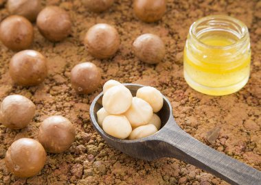 Oil and macadamia nuts (Macadamia integrifolia) clipart