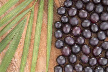Amazon acai meyve (Euterpe oleracea)