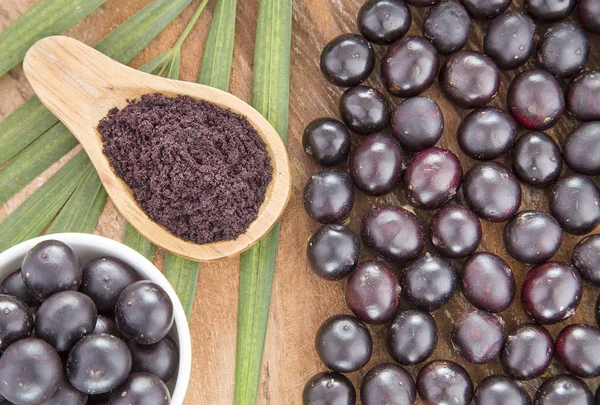 Açaí-da-amazónia (Euterpe oleracea ) — Fotografia de Stock