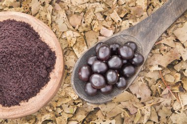 Amazon acai meyve (Euterpe oleracea)