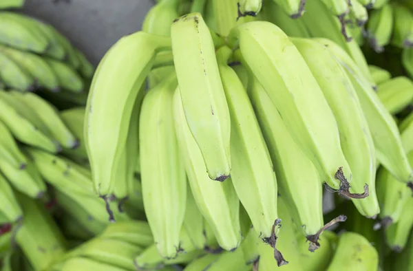 Yeşil muz (Musa paradisiaca)