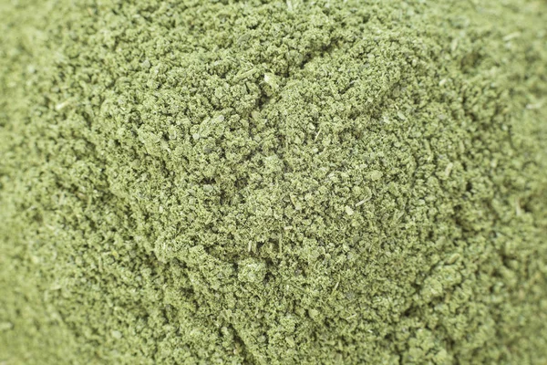 Moringa dust (moringa oleifera)) — Stockfoto