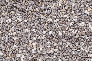 Chia - Salvia hispanica tohumları