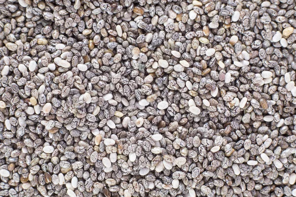 Seeds of chia - Salvia hispanica — Stock Photo, Image