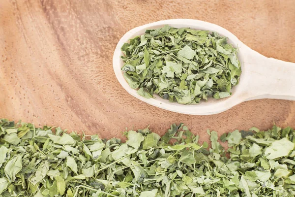 Moringa in bladeren - Moringa oleifera — Stockfoto