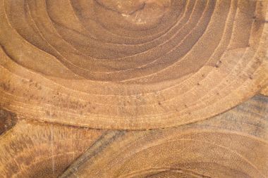 Teak ahşap doku - Tectona grandis