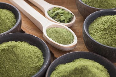 Moringa tozu (Moringa oleifera)