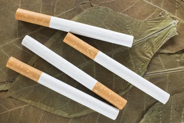 Listy tabáku a cigaret (Nicotiana tabacum) — Stock fotografie
