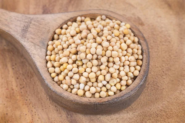 Hardal tohumu - Sinapis alba sarı