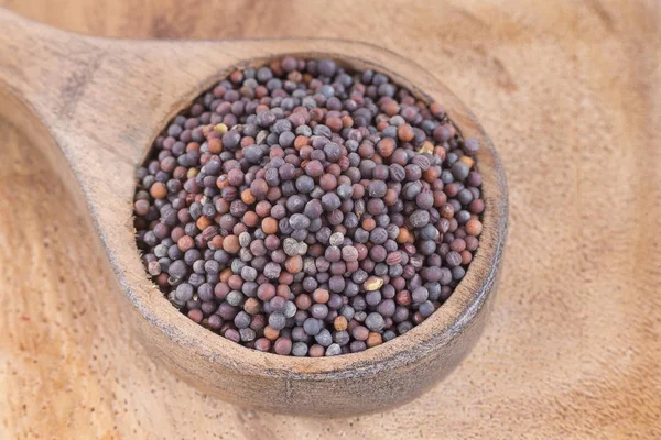 Siyah hardal tohumu - Brassica nigra