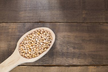 Hardal tohumu - Sinapis alba sarı