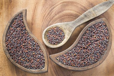 Siyah hardal tohumu - Brassica nigra