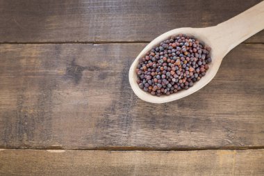 Siyah hardal tohumu - Brassica nigra