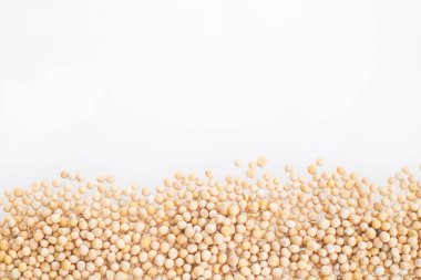 Hardal tohumu - Sinapis alba sarı