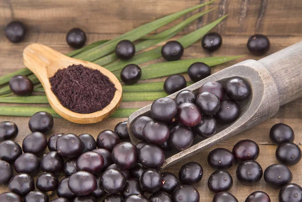 Il frutto amazzone acai (Euterpe oleracea ) — Foto Stock