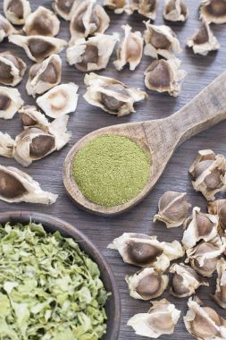 Moringa tohumları - Moringa oleifera