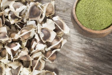 Moringa tohumları - Moringa oleifera