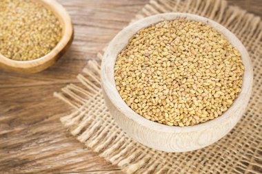 Tohum yonca - Medicago sativa