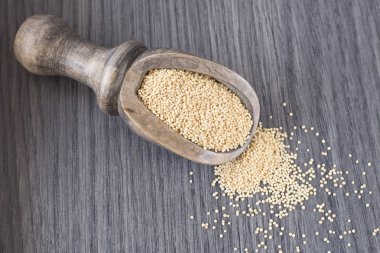 Tahta kaşık (Amaranthus solmayan çiçek tohumları)